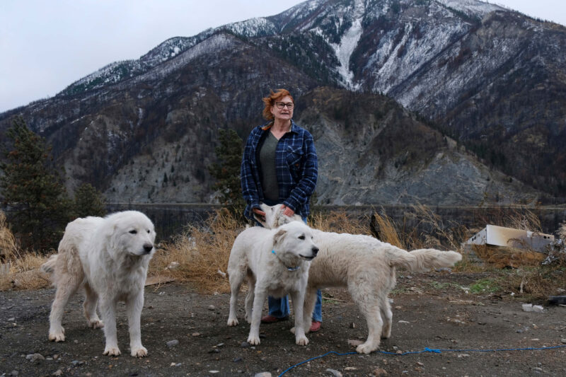 Tricia Thorpe standing on her property with three of her white dogs. Mountains in the background.
