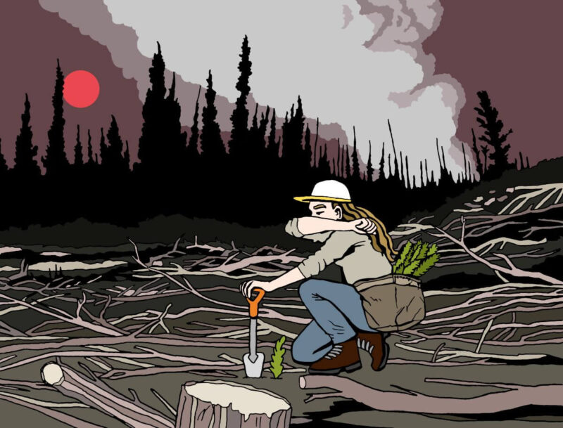 Illustration of a treeplanting planting in a cutblock with a red sun and smoky sky.